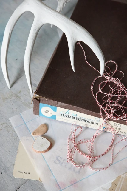 Close-up of a white antler, paper, and string on top of a dark brown box, showcasing texture and crafting details in soft lighting.