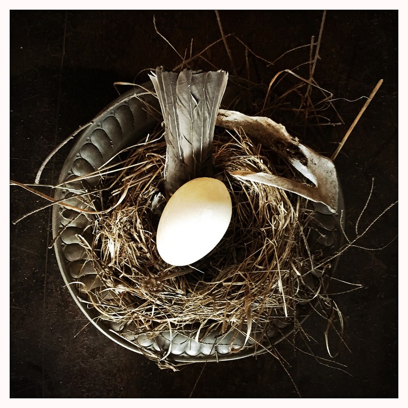 Overhead studio shot of bird's nest on a metal plate with a white egg and feather; dark, moody lighting and minimalist composition.