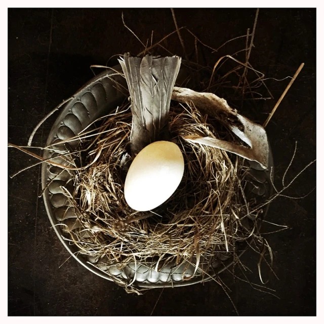Overhead studio shot of bird's nest on a metal plate with a white egg and feather; dark, moody lighting and minimalist composition.
