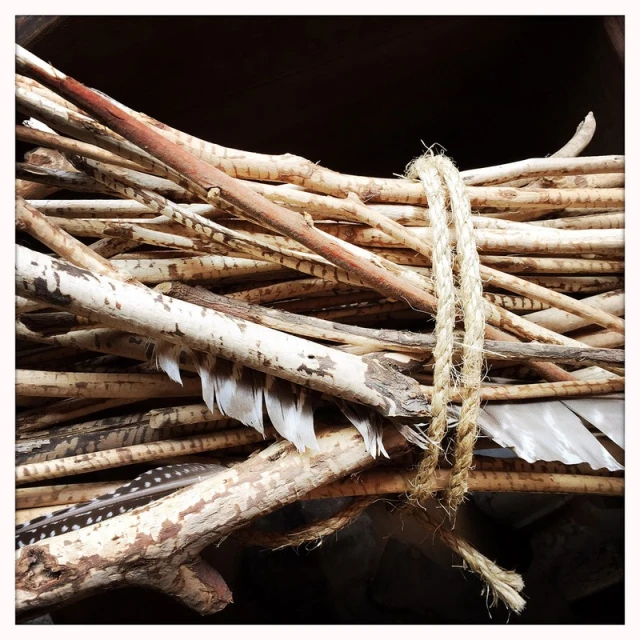 A bundle of tan and brown sticks tied together with twine, featuring scattered white and brown feathers among the branches, indoors.