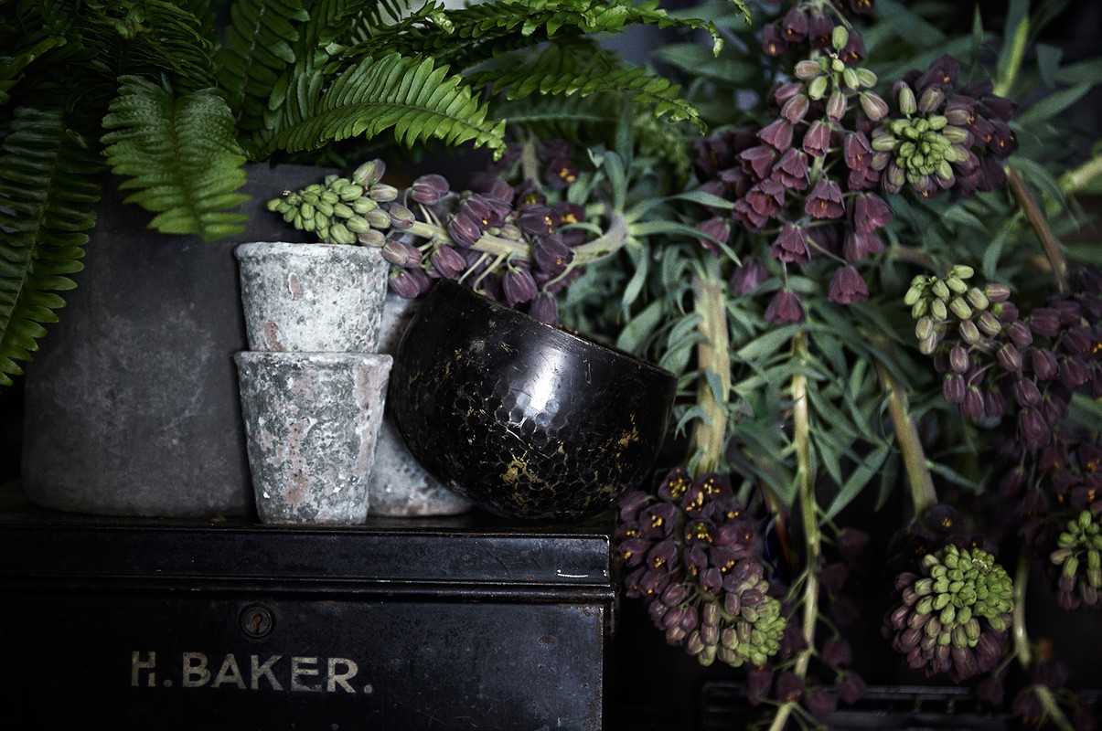 Indoor still life of a black bowl, small vases, and purple flowers against a dark background, creating a moody, floral composition.