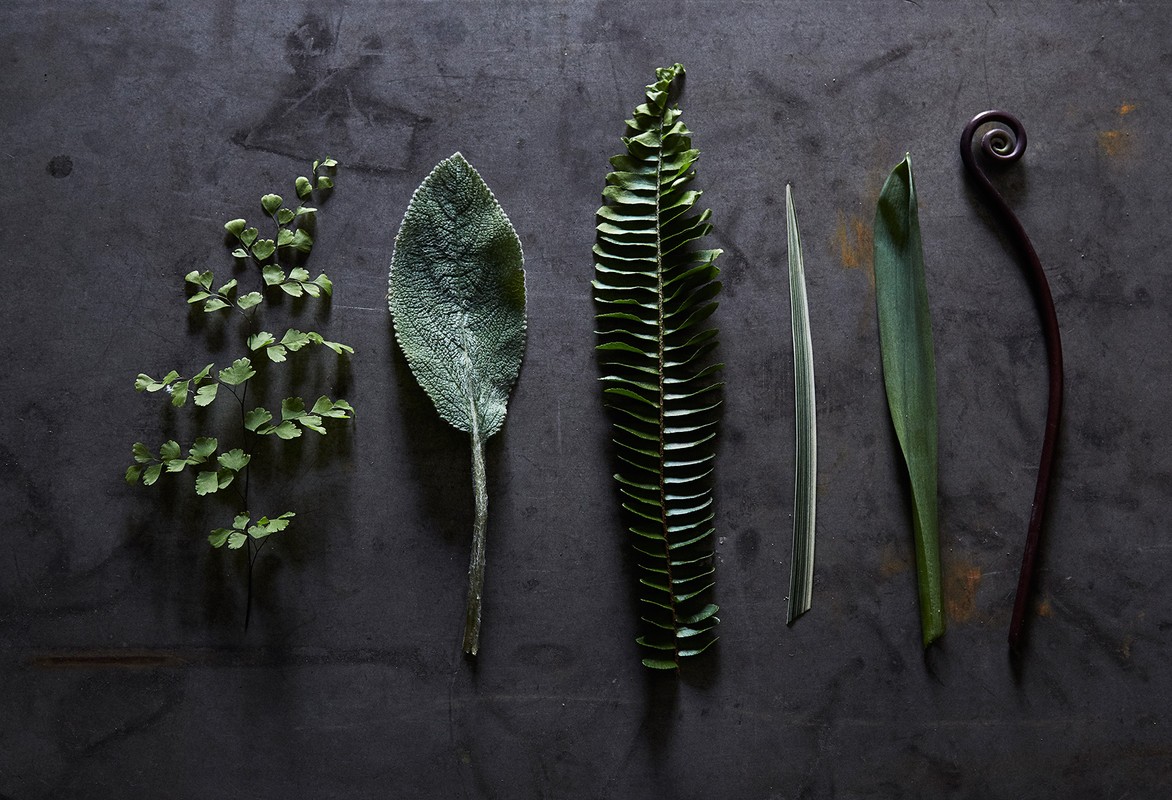 Botanical flat lay featuring green fern fronds, foliage, and leaves arranged symmetrically on a textured dark gray surface.