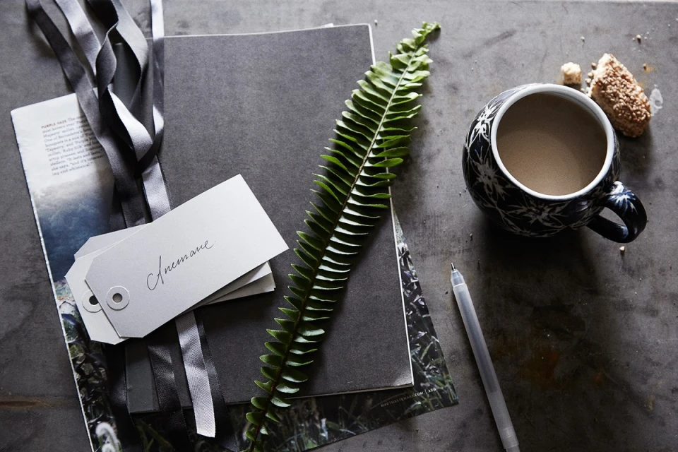Still life featuring a coffee mug, fern, notebook, pen, and tags on a grey surface with a magazine, capturing a cozy, organized scene.