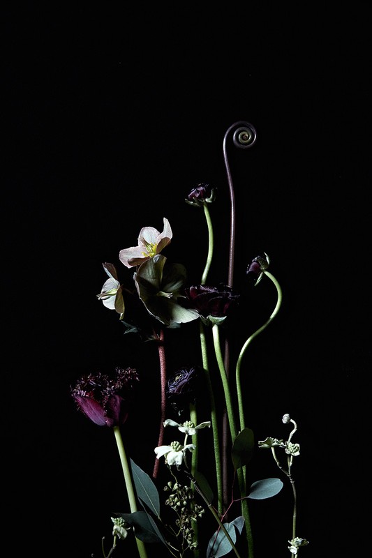 Dramatic still life of ranunculus, hellebores, and tulip flowers arranged in a dark moody floral composition against a black background.