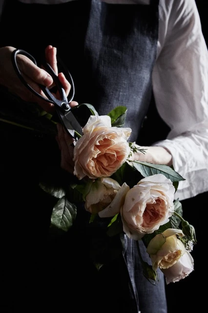 Close-up of a woman's hands holding garden roses and scissors, suggesting floristry, flower arrangement, or gardening in a dark, moody setting.