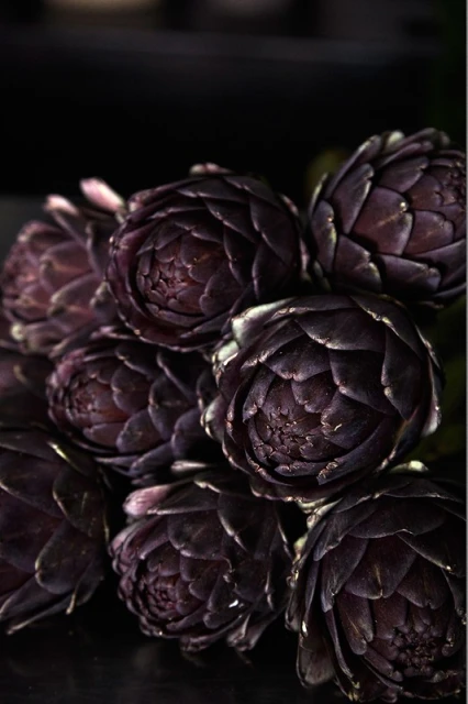 Close-up of a cluster of dark purple artichokes with textured petals against a dark background, highlighting the vegetable's form and color.