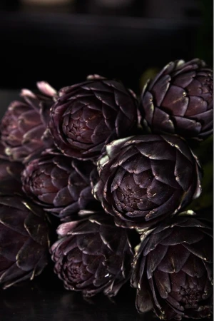 Close-up of a cluster of dark purple artichokes with textured petals against a dark background, highlighting the vegetable's form and color.