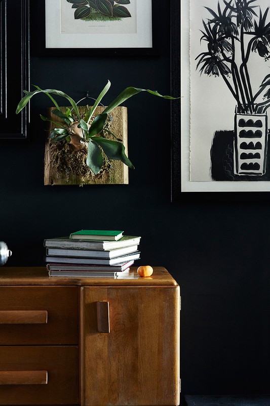 Interior view of a wooden mid-century modern cabinet with books, art, and plants against a dark wall.