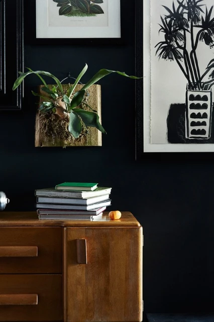 Interior view of a wooden mid-century modern cabinet with books, art, and plants against a dark wall.