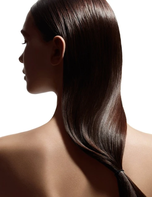 Profile view of an adult female with long, dark brown, shiny hair pulled back into a ponytail against a white background with shadow accents.