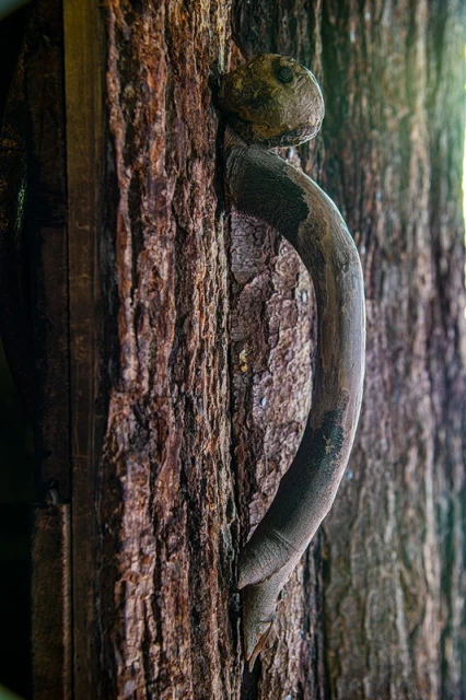 Wooden door with a unique, naturally-formed handle made of a branch. The texture of the wood is rough and organic, capturing nature's detail.