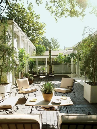 Outdoor lounge area with modern design: Patio furniture, potted plants, and lush greenery create a tranquil, inviting courtyard setting.