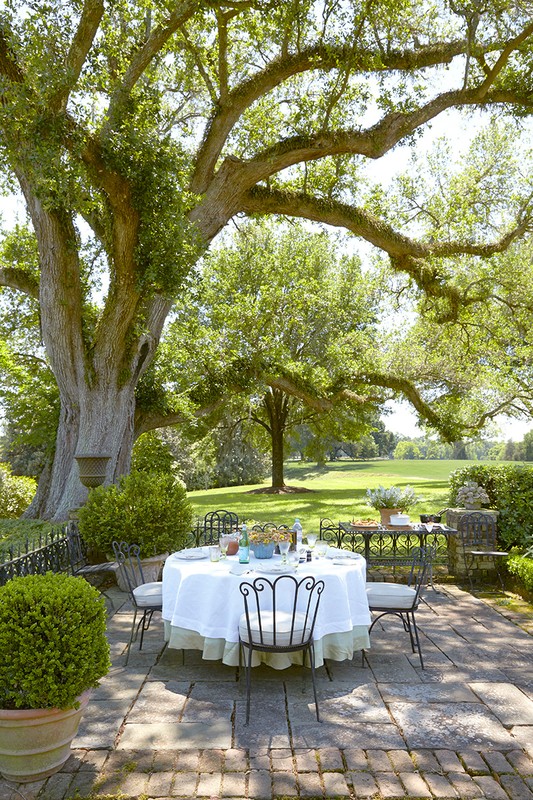 Outdoor dining scene with a round table set for a meal on a brick patio, shaded by a large tree, in a lush garden setting.