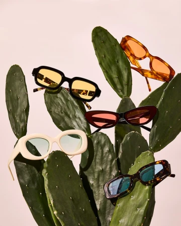 Five pairs of coloured sunglasses resting on vibrant green cactus pads against a soft neutral background