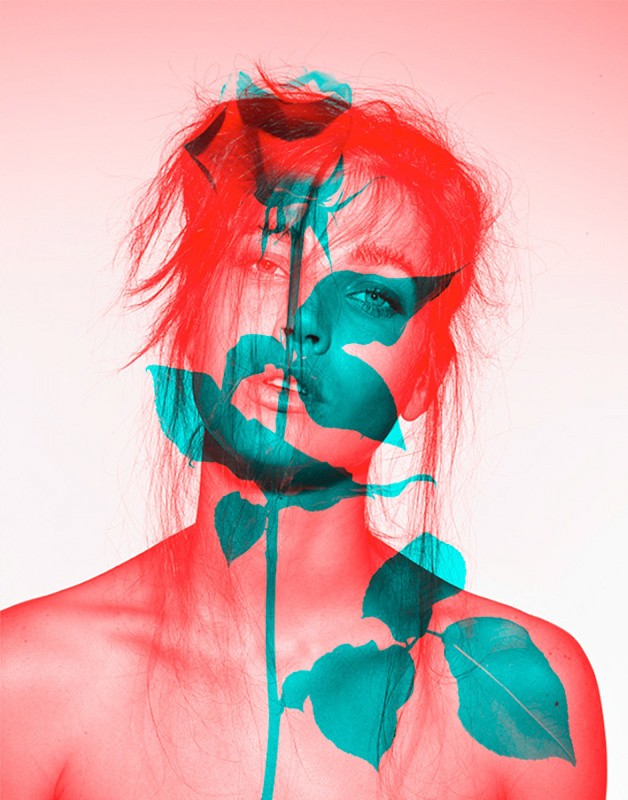 A woman's face with an overlaid cyan-and-red color effect, overlaid with a rose and leaves in a portrait-style image on a white background.