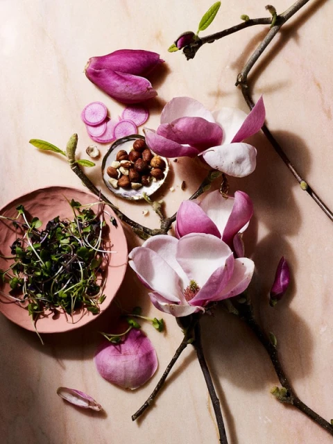 Overhead shot of pink and white magnolia blooms, sprouts, nuts, and sliced vegetables arranged on a beige marble surface.