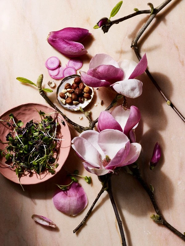 Overhead food photography by Scott Pitts featuring pink magnolia flowers, hazelnuts, radish slices, and microgreens on a pink marble surface