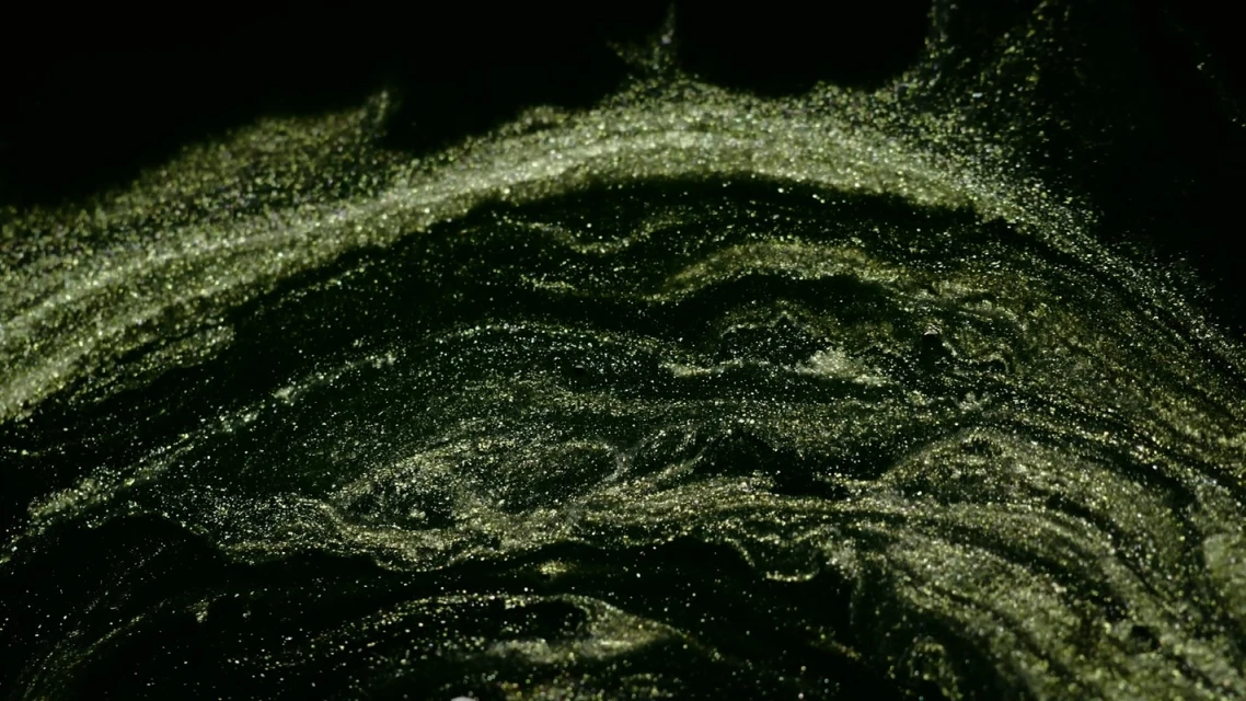Abstract dark green and gold fluid art with swirls, glitter, and a luxurious, organic texture, creating a captivating visual effect.
