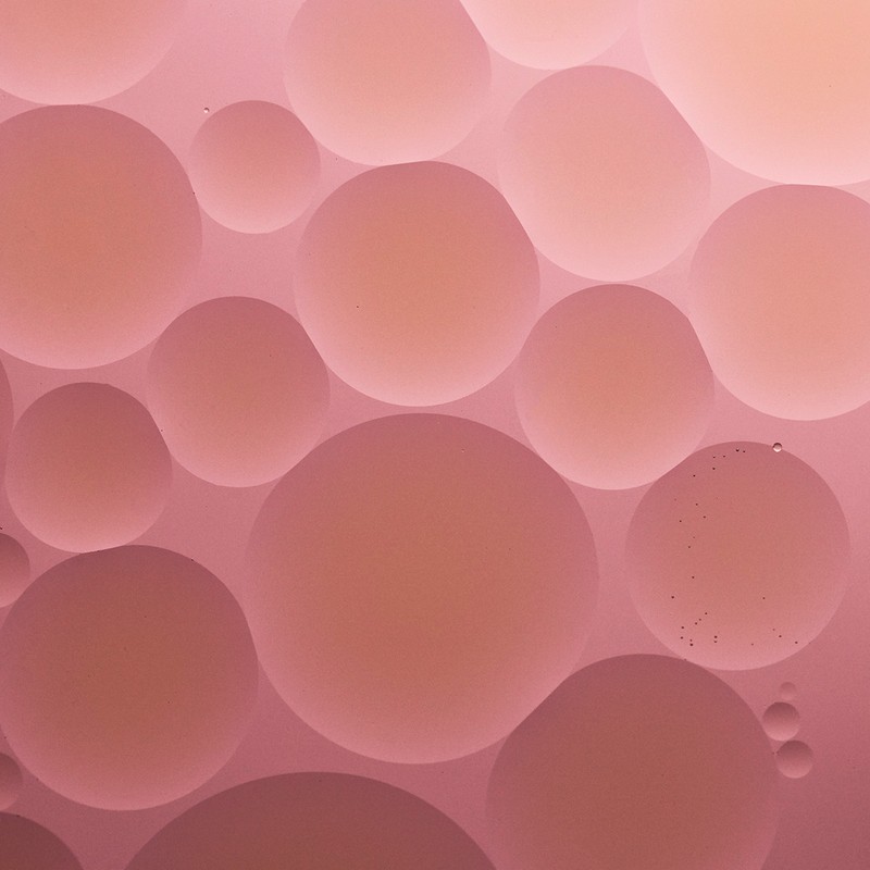 Abstract close-up of pink and orange oil and water bubbles creating a calming, organic cellular pattern with interesting depth and light.