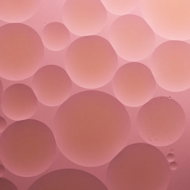 Abstract close-up of pink and orange oil and water bubbles creating a calming, organic cellular pattern with interesting depth and light.