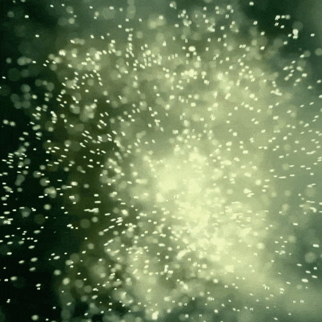 Abstract shot of glowing particles against a dark background, creating a dreamy, ethereal, and magical effect. Bokeh effect is visible.