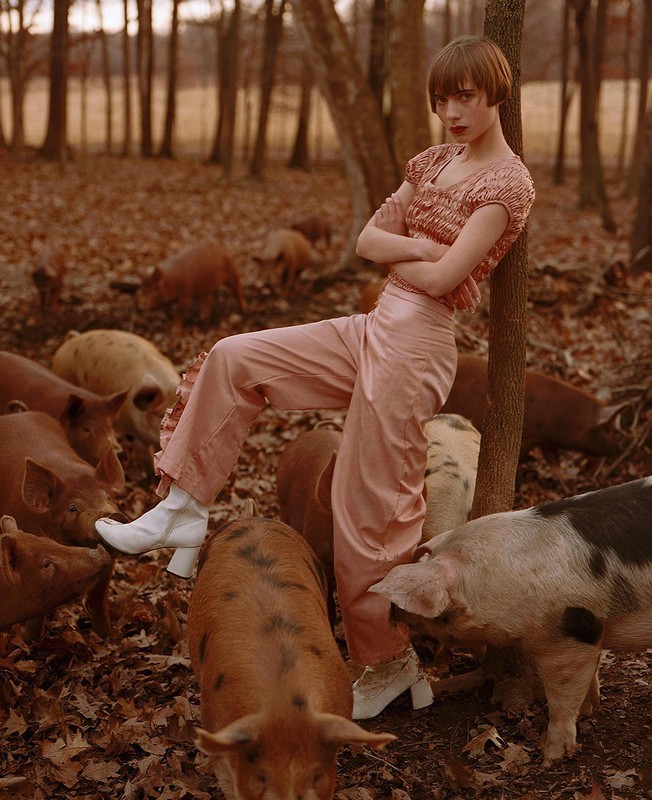 Female fashion model in pink clothing poses with domestic pigs in a wooded outdoor environment with fallen leaves and bare trees.