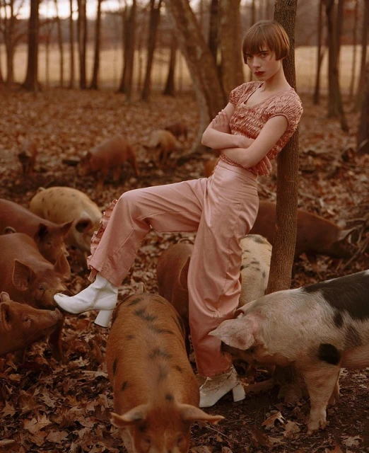 Female fashion model in pink clothing poses with domestic pigs in a wooded outdoor environment with fallen leaves and bare trees.
