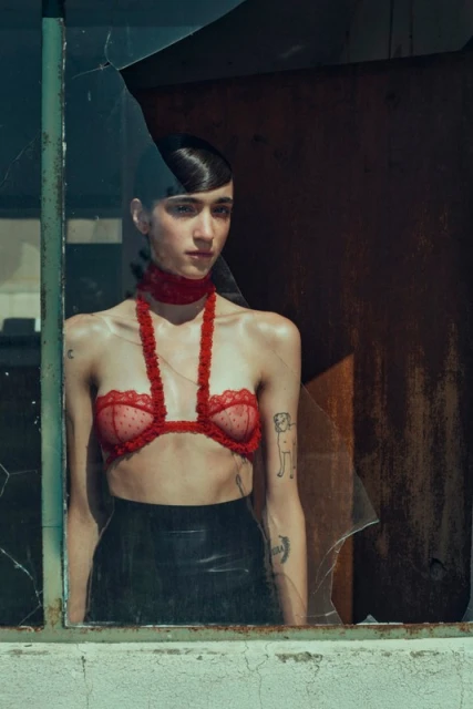 Indoor portrait of a young adult woman with dark hair wearing a red bra and choker, seen through broken window glass. Fashion shot.
