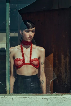 Indoor portrait of a young adult woman with dark hair wearing a red bra and choker, seen through broken window glass. Fashion shot.