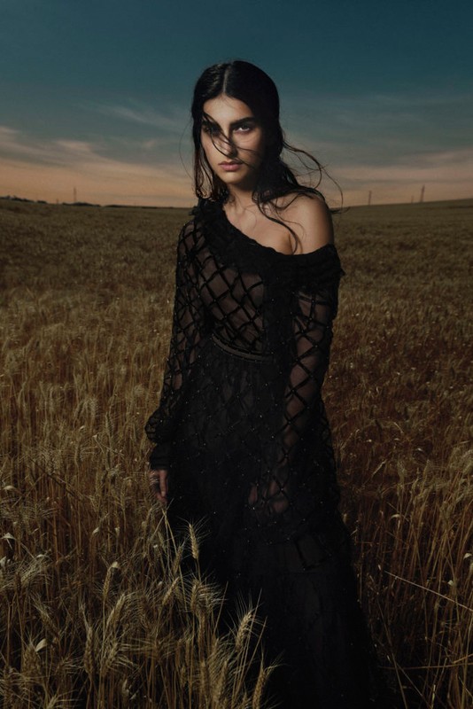 A woman in a sheer black dress stands in a field of wheat under a blue sky at sunset in a fashion or editorial style photograph.