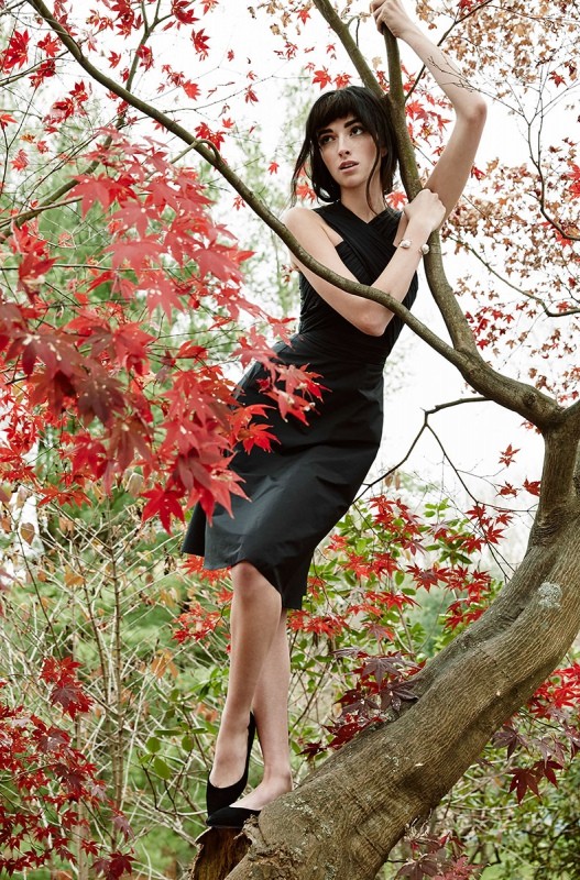 A striking portrait of a brunette woman in a black dress, elegantly posed on a tree branch amid vibrant red leaves and foliage outdoors.