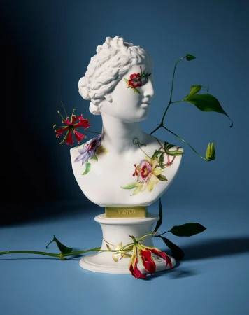 White bust of Venus with floral embellishments against a teal background, creating a visually striking and artistic composition.