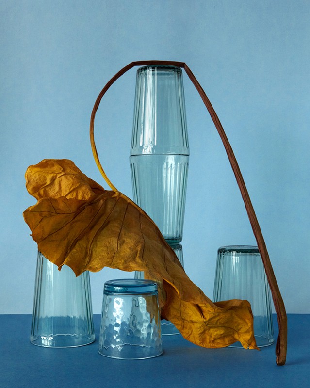 Still life of blue glassware and dried autumn leaf against a light blue background, emphasizing texture and colour harmony.