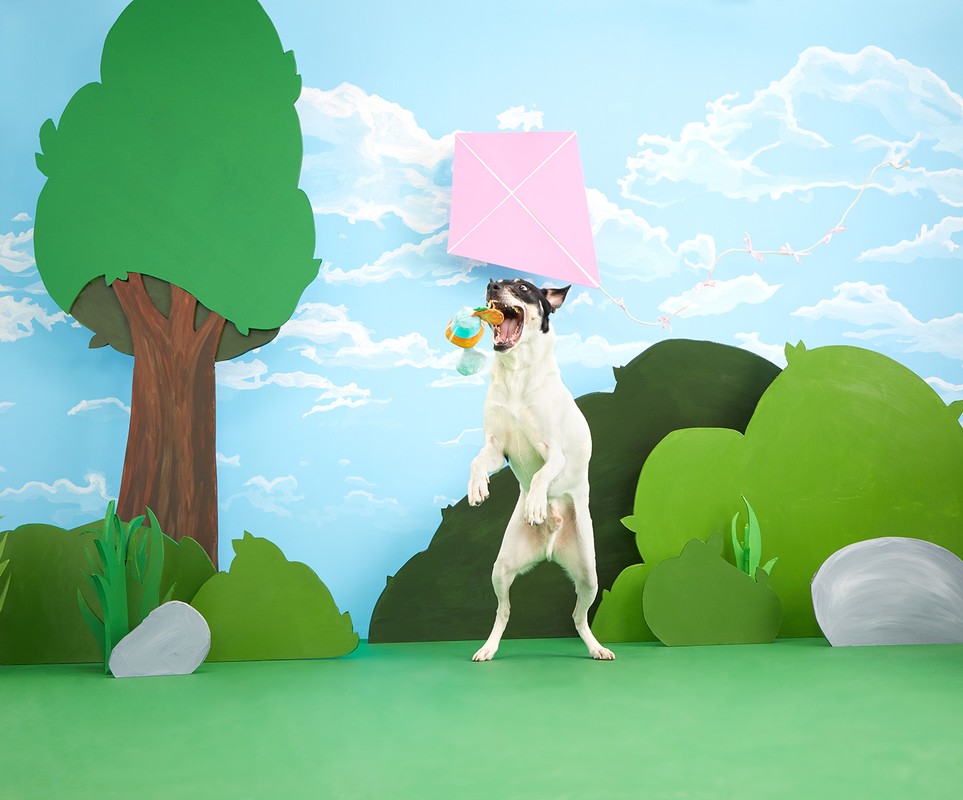 Dog jumping to catch toy with pink kite in whimsical, illustrative outdoor scene, vibrant colors, playful composition, and lighthearted mood.