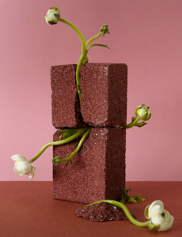 Still life shot of a flower with a stem growing between stacked red brick blocks against a pink background and a red table surface.