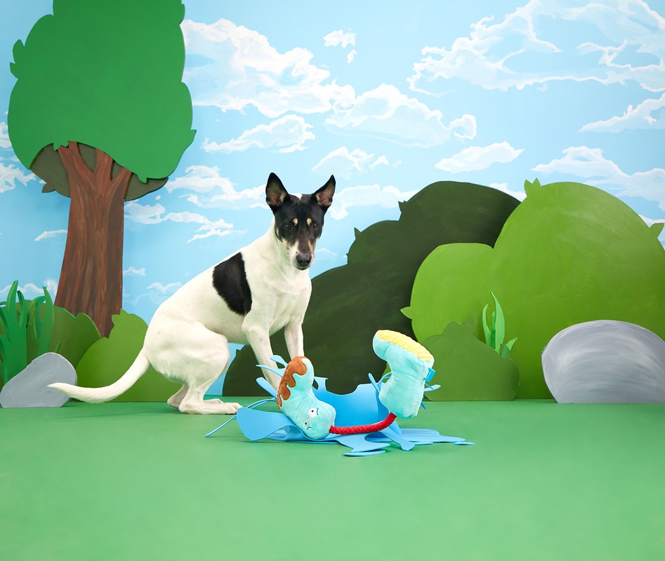 Dog near blue toy on green ground, backdrop with trees and clouds, playful domestic animal in cartoon-like studio setting.