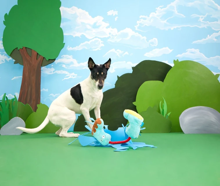 Dog near blue toy on green ground, backdrop with trees and clouds, playful domestic animal in cartoon-like studio setting.