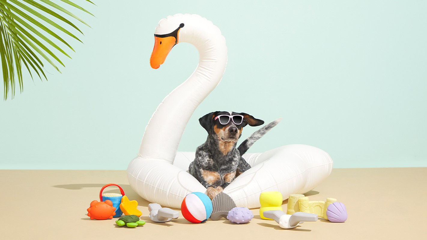Dog wearing sunglasses sits in a swan inflatable with beach toys on a tan surface against a light blue background with palm frond.
