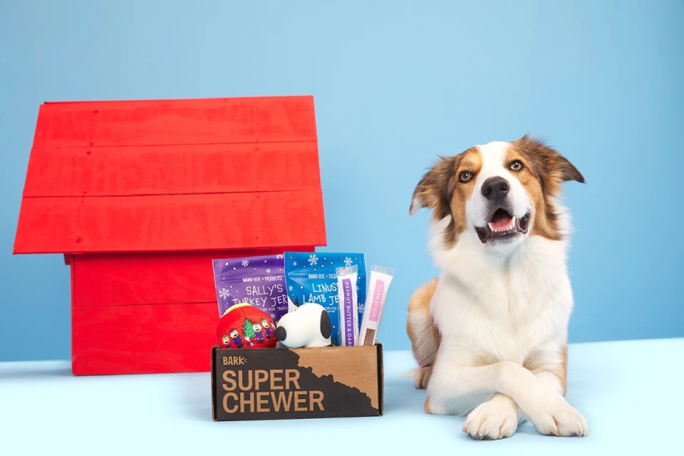 Dog poses next to a Barkbox Super Chewer box with treat bags and dog toys in front of a small red dog house against a blue backdrop.