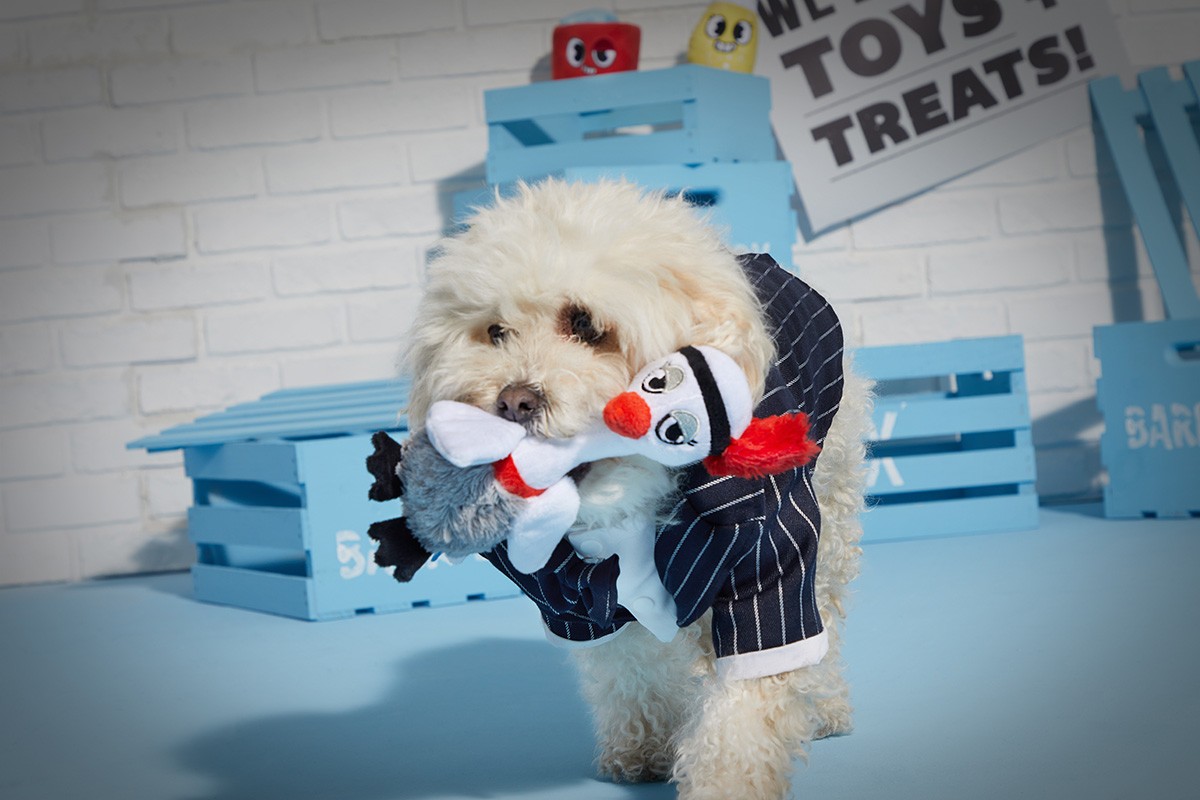 Dog in pinstripe jacket holds plush toy duck & fish by blue crates and a 'Toys & Treats' sign in an indoor, playful pet supply setting.