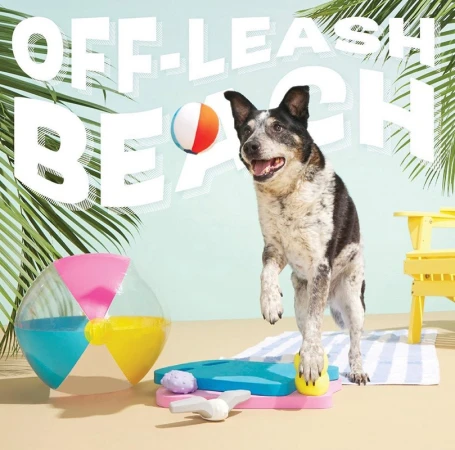 Dog with black and white markings balances a yellow ball, standing on a striped towel on a sandy beach near other beach toys.
