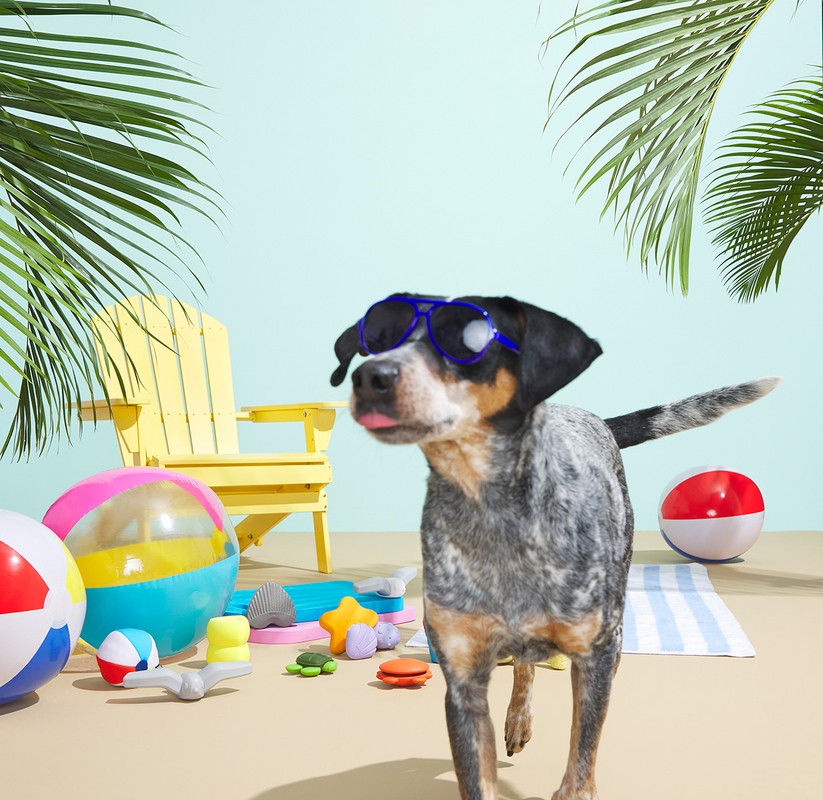 Dog wearing sunglasses on a beach set with a yellow chair, beach balls, various toys, and palm fronds on a sandy surface.