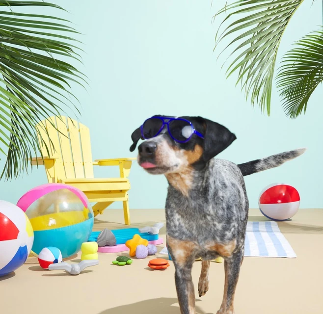 Dog wearing sunglasses on a beach set with a yellow chair, beach balls, various toys, and palm fronds on a sandy surface.