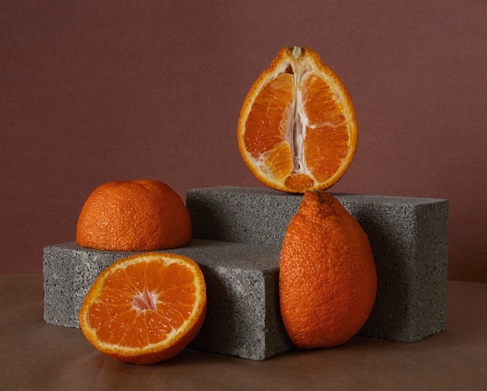 Still life shot of four oranges, including cut halves, arranged on gray concrete blocks against a muted red-brown background.