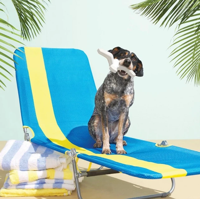 A dog sits on a blue and yellow beach chair with a white bone toy in its mouth, set against a light green background with palm leaves.