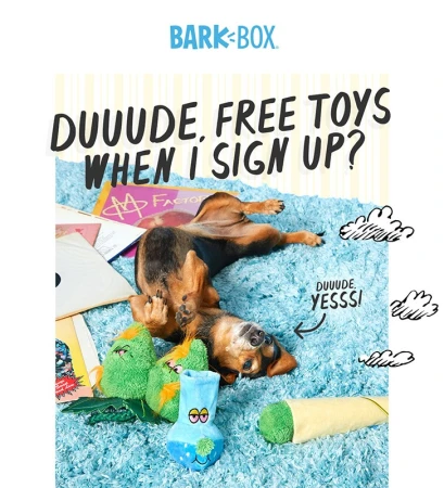 Dog lying on back on blue shag rug with BarkBox toys and vinyl records; ad copy reads "DUUUDE, FREE TOYS WHEN I SIGN UP?"