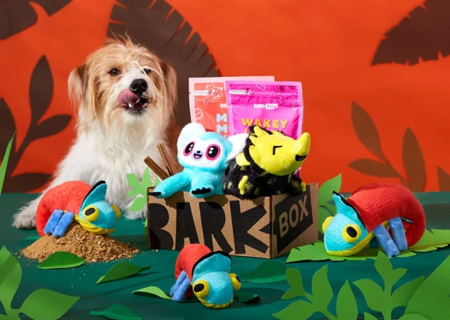 Medium coated dog with tongue out, sitting by a Bark Box surrounded by plush animal toys and treats, on a green surface.