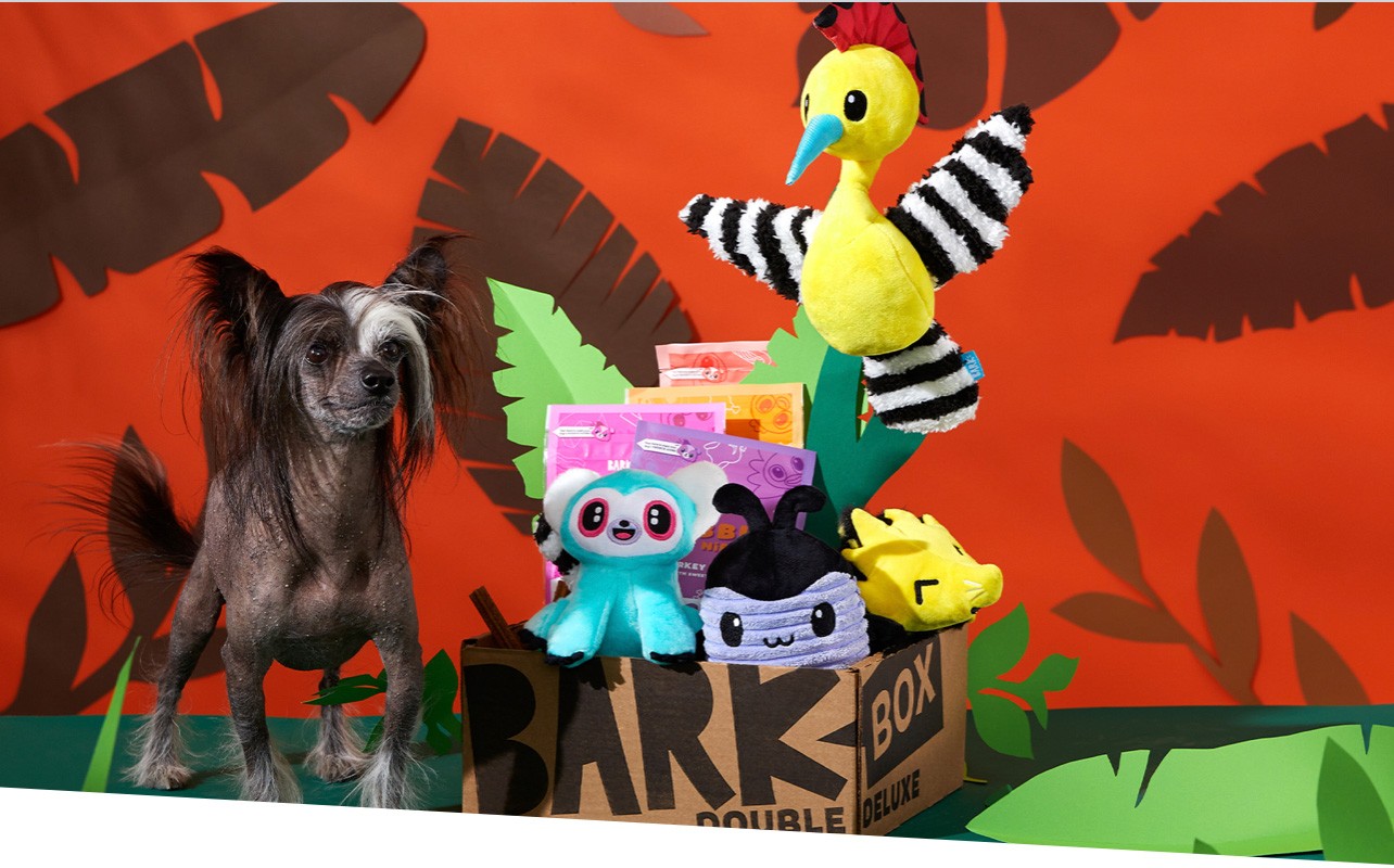 Dog alongside a BarkBox filled with stuffed animals. The box features the BarkBox logo and is surrounded by jungle leaves.