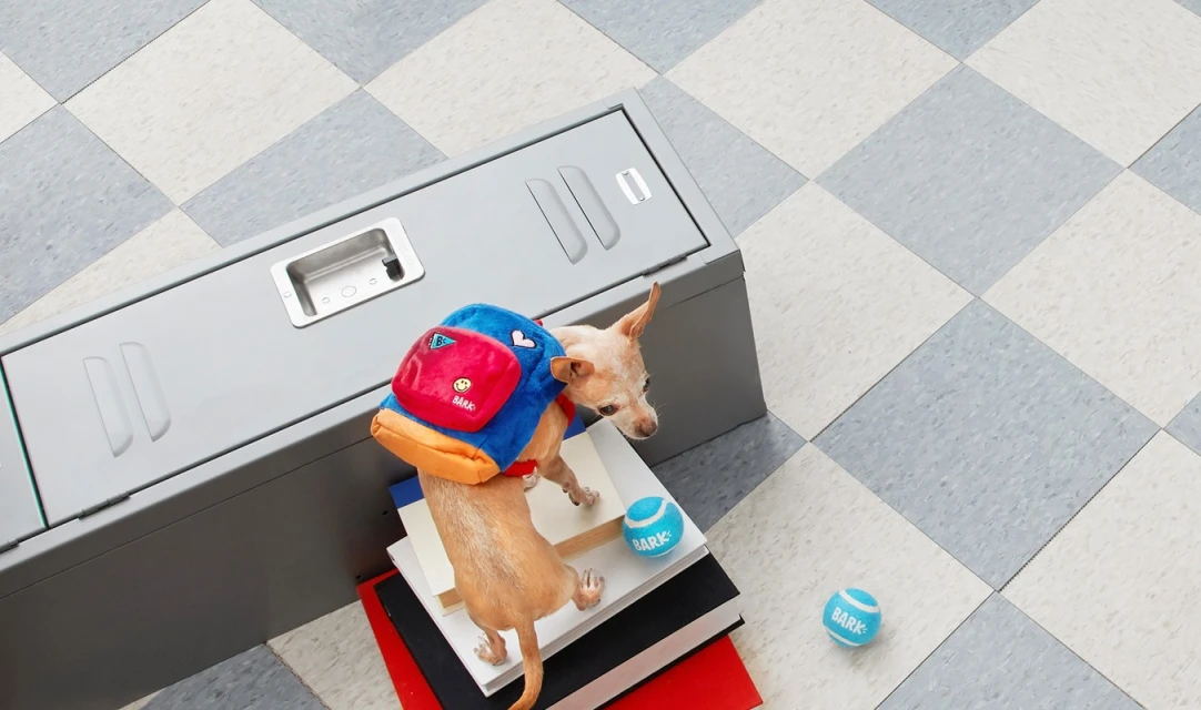 Dog with backpack on books next to locker, with tennis balls on a checkered gray and white floor, evokes a playful school scene.