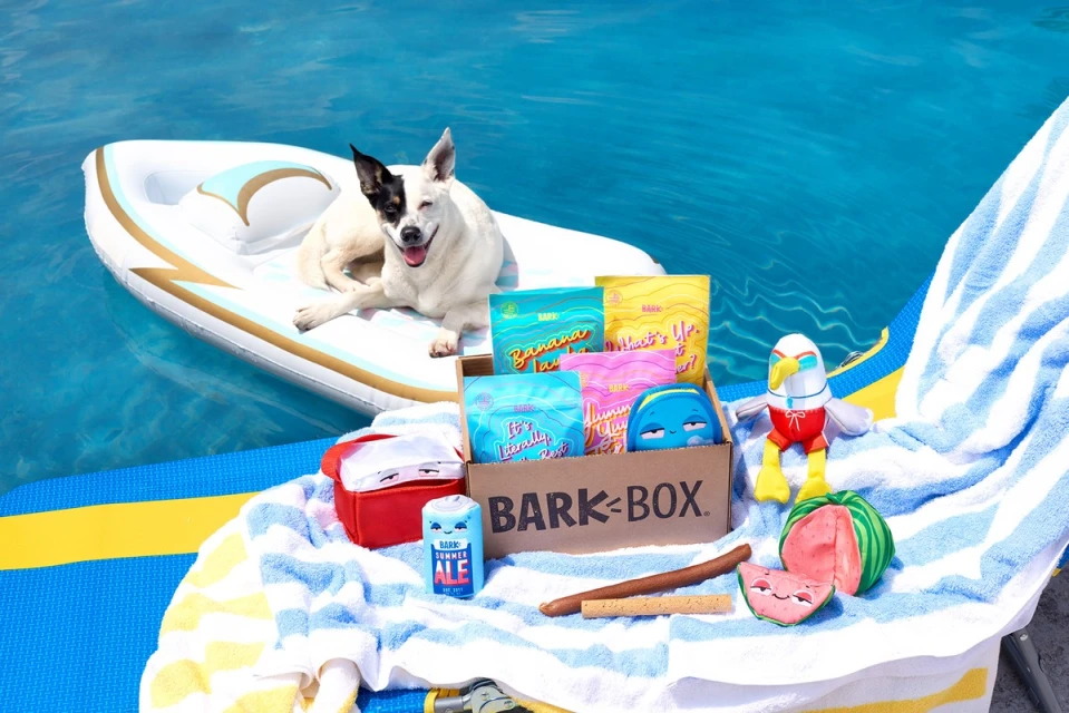 White dog with black markings relaxes on an inflatable raft in a pool, surrounded by BarkBox toys and treats on a blue and white striped towel.